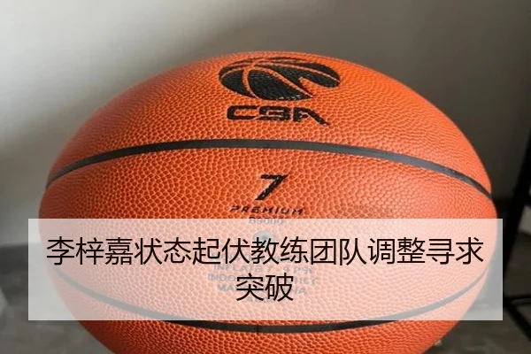 李梓嘉状态起伏教练团队调整寻求突破