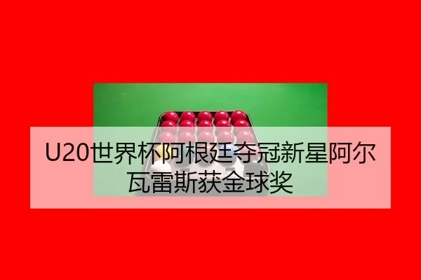 shi-jie-bei-a-gen-ting-duo-guan-xin-xing-a-er-wa-lei-si-huo-jin-qiu-jiang-3-822.jpg